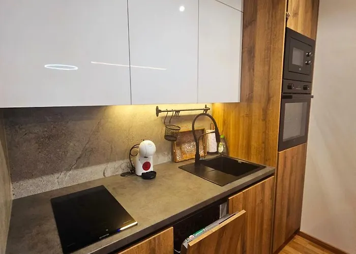 公寓 Montara Lux & Sa Parkingom 兹拉蒂博尔